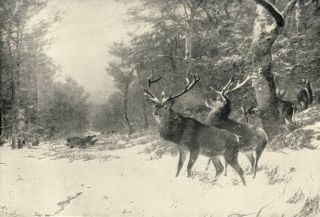  1894 title early morning artist ch kroner image size 11 inches x 7 5
