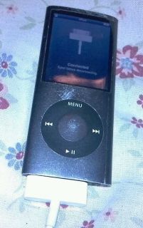 Apple iPod Nano 4th Generation Chromatic Black 8 GB