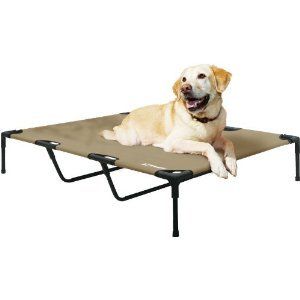 Elevated Raised Pet Dog Bed Cot Extra Large 48x36x9 XL