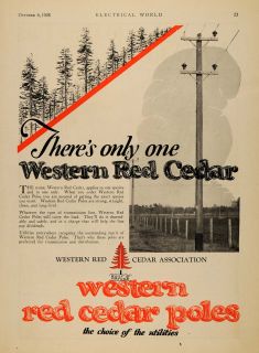  Western Red Cedar Association Electrical Poles   ORIGINAL ADVERTISING