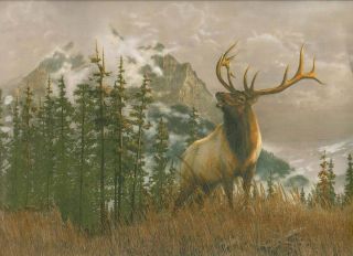 Elk Buck in Mountains Sale $ Wallpaper Border 238