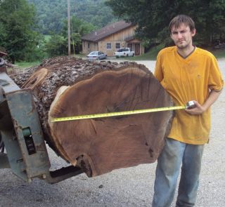 Big appalachain walnut log sawed on a woodmizer sawmill to your