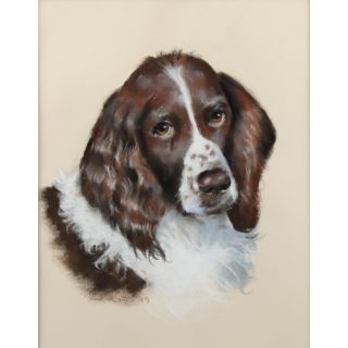 English Springer Spaniel Dog Pastel Portrait Painting