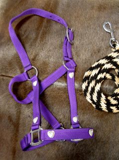 Nylon Horse Halter Lead Rope Silver Heart Purple Tack