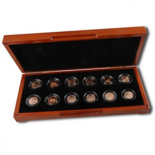 Coin Collector 2009 Lincoln Cent Copper Collection of 12 Coins