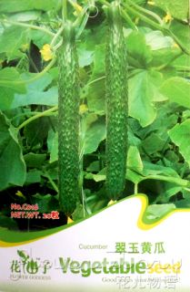 Cucumber Seed ★ 20 Hot Vegetables Edible Delicious Sweet Green