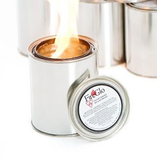  Furniture Fireplaces Gel Fireplaces FireGlo Set of 24 Gel Fuel Cans