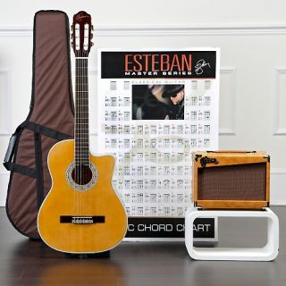  guitar package note customer pick rating 23 $ 109 95 s h $ 15