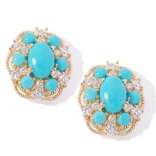 Xavier Absolute™ Oval Turquoise Frame Earrings