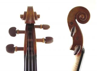  Salo Concert Violin 2379 Engelman Spruce  Platinum Seller