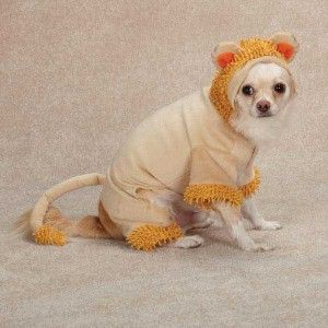 Dog Jungle King Lion Halloween Costume Canine Pet Roar Clothes XS s M