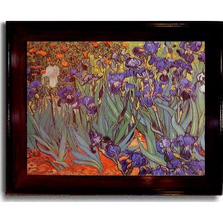 Vincent van Gogh Iris Garden Canvas Wall Art Print