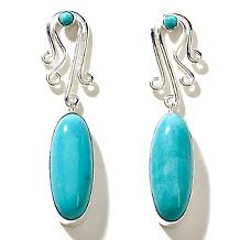 jay king lapis and sleeping beauty turquoise earrings $ 89 90