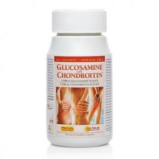  Joint and Cartilage Lessman Glucosamine with Chondroitin 90 Capsules