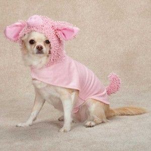 Dog Porky Pup Pig Halloween Costume Canine Piglet Clothes XS s M L XL