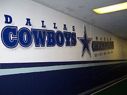 Pink Dallas Cowboys Signed Autographed Helmets Cowboys Romo Witten