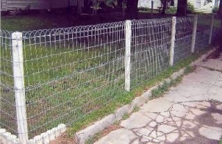 Ornamental Wire Fencing Loop Top Garden and Lawn Fence to Enclose