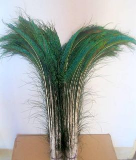 Nice 100 Pcs Natural Peacock Sword Feathers About 25 27 inch 50 Left