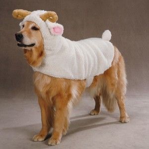 Dog Sheep Plush Canine Halloween Costume Farm XS XL