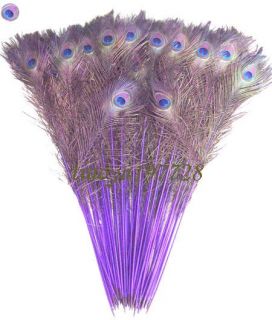  50pcs Real Purple Peacock Feathers 70 80 28 32‘’ Inches