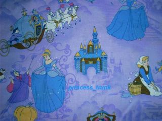 CinderellaStory_fabric