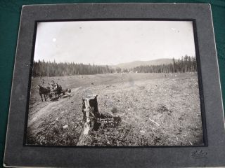 Fernwood Idaho Ranch Antique Photograph Tekoa Washington Photographer