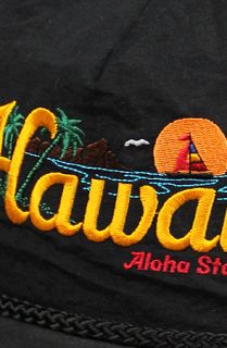 Forever Strung Vintage Hawaii Snapback