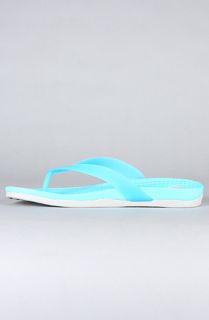 Native The Paolo Sandals in Hulla Blue Pigeon Grey