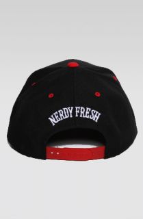 Nerdy Fresh The Sir Astro Snapback Concrete