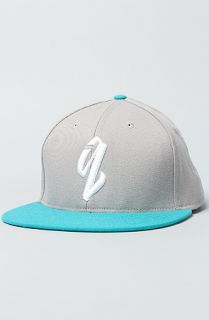Quintin The Q Hit Snapback Hat in Gray