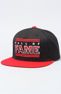 Hall Of Fame The Boarders Snapback Concrete