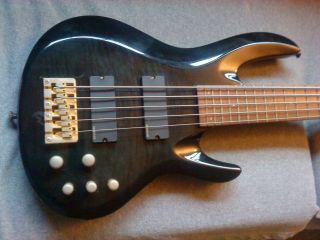 ESP LTD B 305 5 String Electric Bass Guitar