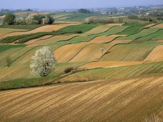 now heres why farmland could be a good investment for you