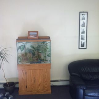 20 Gallon Aquarium Fish Tank w Hood Stand Filter Light