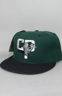 Vintage Deadstock Carolina Panthers Fitted HatGreenBlack  Karmaloop