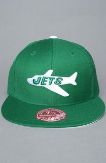 Mitchell & Ness The NFL Throwback Alternate Logo Fitted Hat in Green