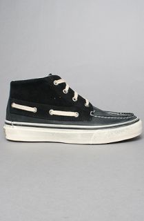 Sperry Topsider The Bahama Chukka Suede Sneaker in Black  Karmaloop