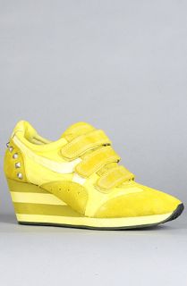 Ash Shoes The Alfa Sneaker in Yellow Concrete