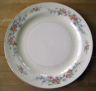 Ferndale Homer Laughlin Dinner Plate