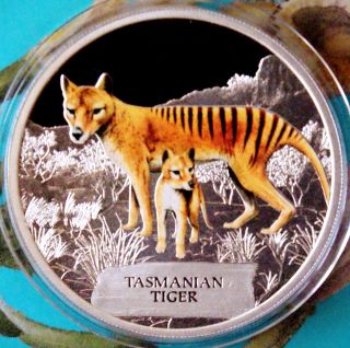  Tasmanian Tiger Pristine from The Mint Sold Out in A Few Hours