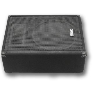 New SEISMIC Audio 15 Floor Monitor Stage PA DJ Speaker