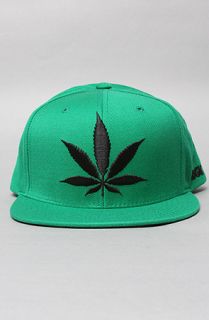 DGK The Stay Smokin Snapback Cap in Green