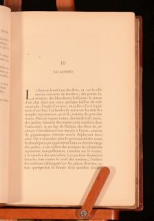 details a fascinating novel written by gustave flaubert december 1821