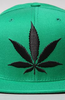 DGK The Stay Smokin Snapback Cap in Green