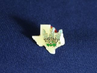 Texas Bluebonnet State Map Flower Shape Lapel Pin Nice