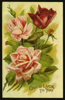 1909 Antique Pink Roses Greetings Postcard Taylor Fitchburg Orange MA