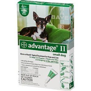 Bayer Advantage II Small Dogs 10 lbs or Less 4 Apps 4 Months