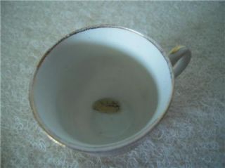  hospital ASYLUM tea cup FERGUS FALLS MN 1890s golden rule dept store