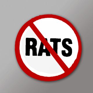Pack of 10 No Rats Union Hard Hat Stickers