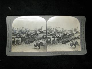  STEREO VIEW #18098 WITH THE FRENCH ARMY IN THE DARDANELLAS CAMP OF THE